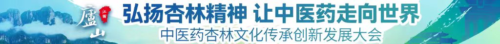 农民工村老妇奶BBw中医药杏林文化传承创新发展大会